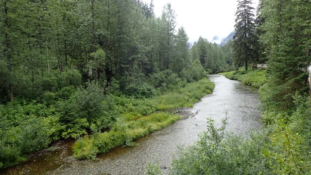 As the salmon hadn't arrived yet, we saw neither bears nor eagles,but it was still beautiful.