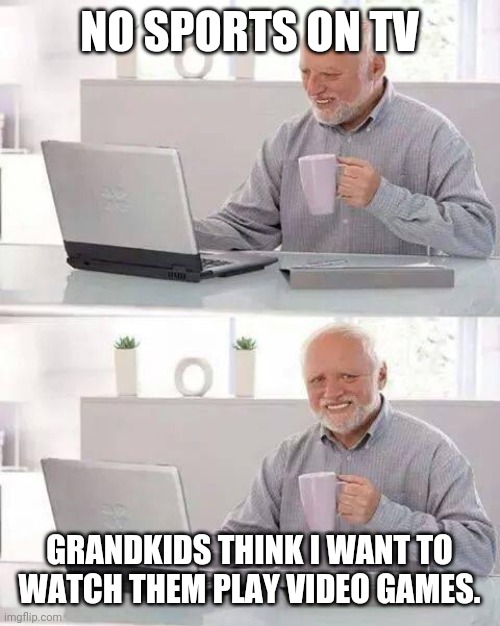 No sports on TV / Grandkids think I want to watch them play video games.