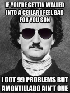 Meme of E.A. Poe with text "IF YOU'RE GETTIN WALLED INTO A CELLAR I FEEL BAD FOR YOU SON. I GOT 99 PROBLEMS BUT AMONTILLADO AIN'T ONE