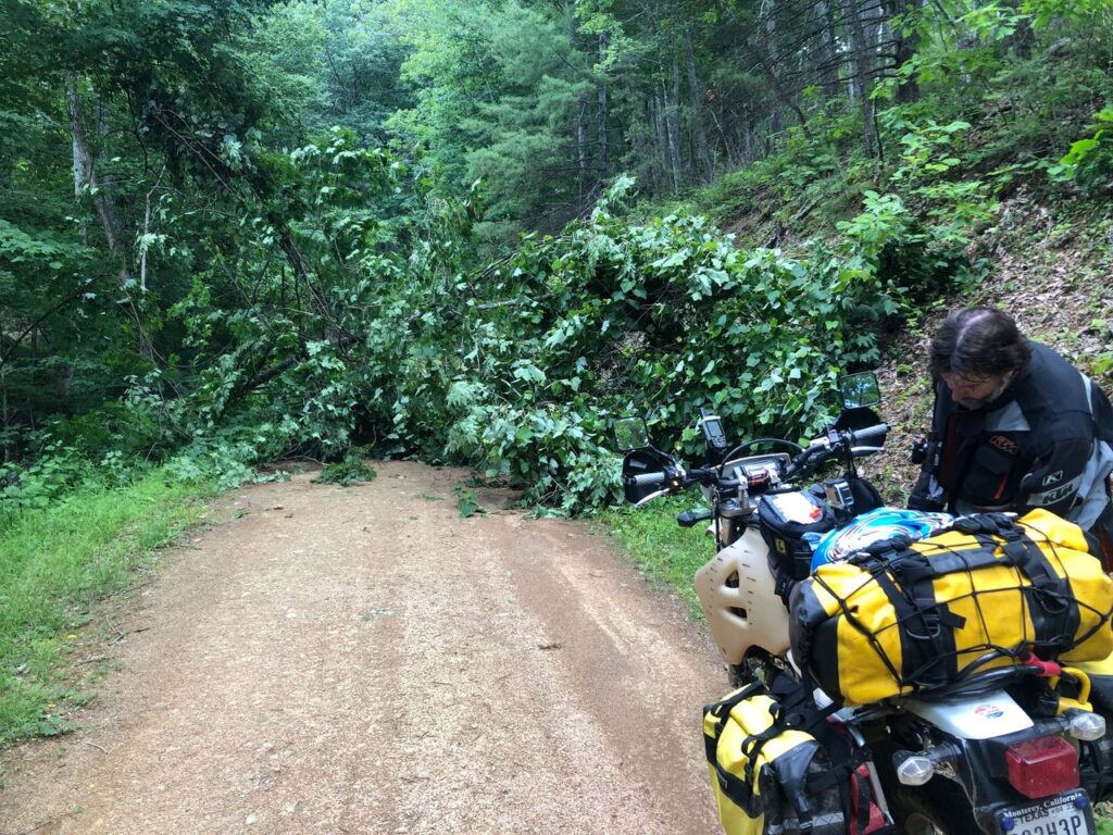 A tree blocking a gravel road with a dual-sport motorcycle in the foreground.