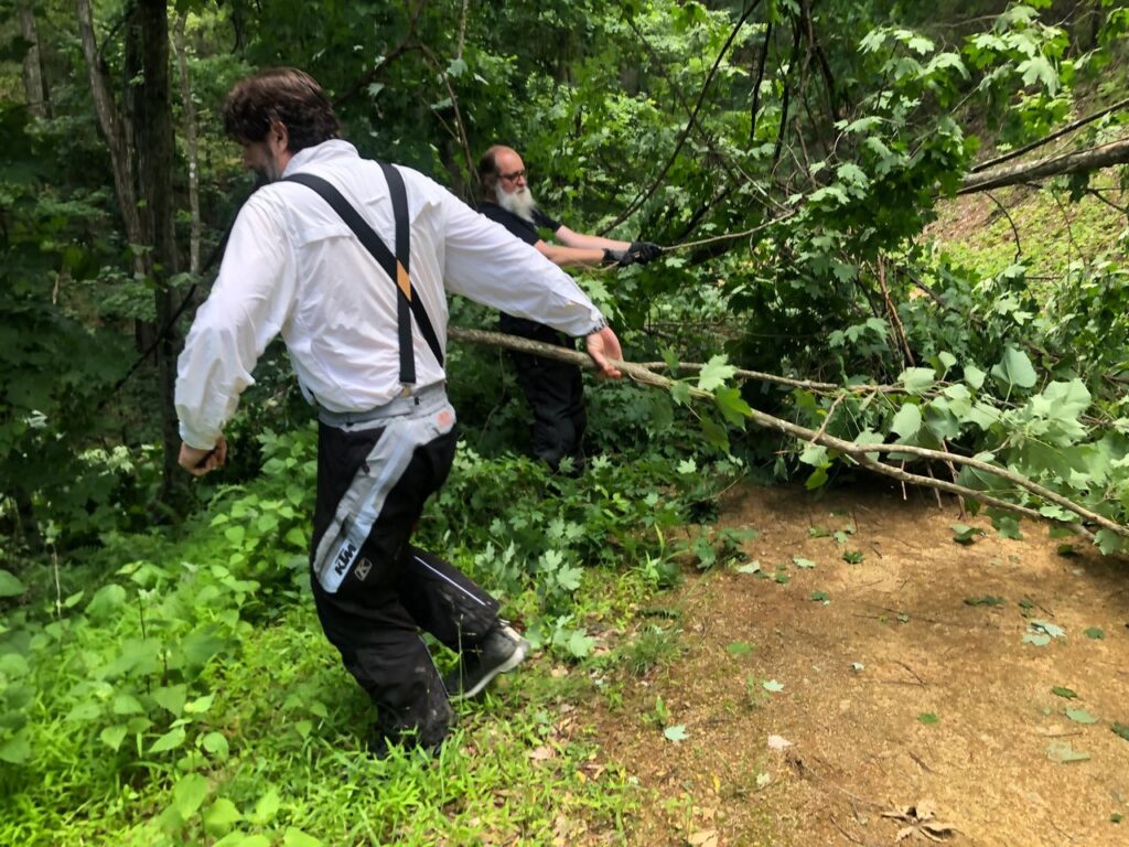 Clearing a path under a tree on Stage 3 of the MABDR.