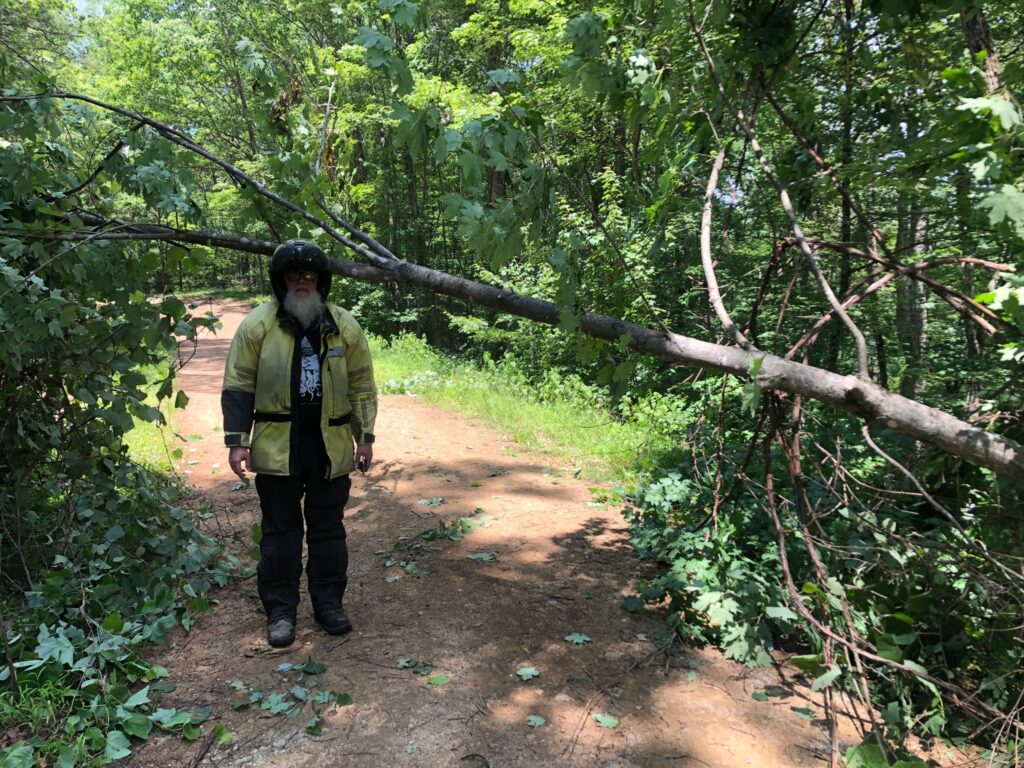 Third in a series of photos showing us clearing a path underneath a tree on the MABDR.